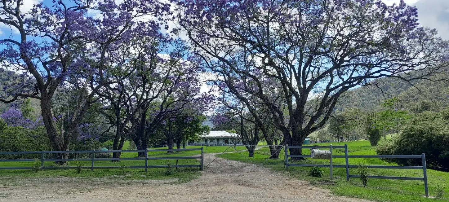 Main view of Homely rural property listing, "Smiths Creek Station"- 8314 Kempsey Road, Kempsey NSW 2440