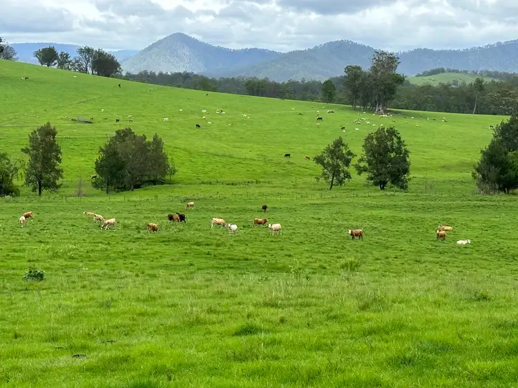 Fourth view of Homely rural property listing, "Smiths Creek Station"- 8314 Kempsey Road, Kempsey NSW 2440