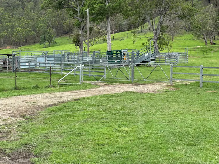 Sixth view of Homely rural property listing, "Smiths Creek Station"- 8314 Kempsey Road, Kempsey NSW 2440