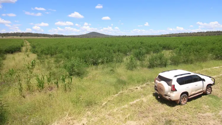 Lot 55 & 79 Burnett Highway, Eidsvold QLD 4627