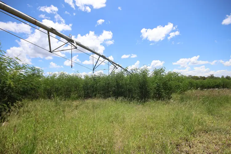 Third view of Homely rural property listing, Lot 55 & 79 Burnett Highway, Eidsvold QLD 4627