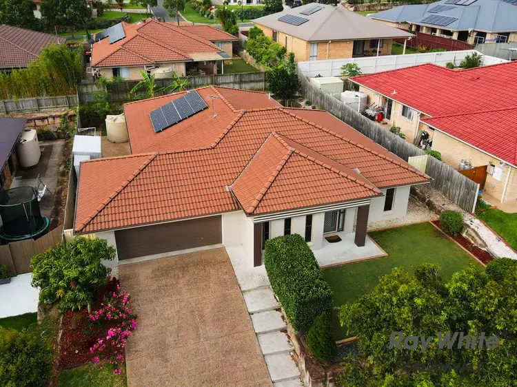 Main view of Homely house listing, 142 Trinity Way, Drewvale QLD 4116