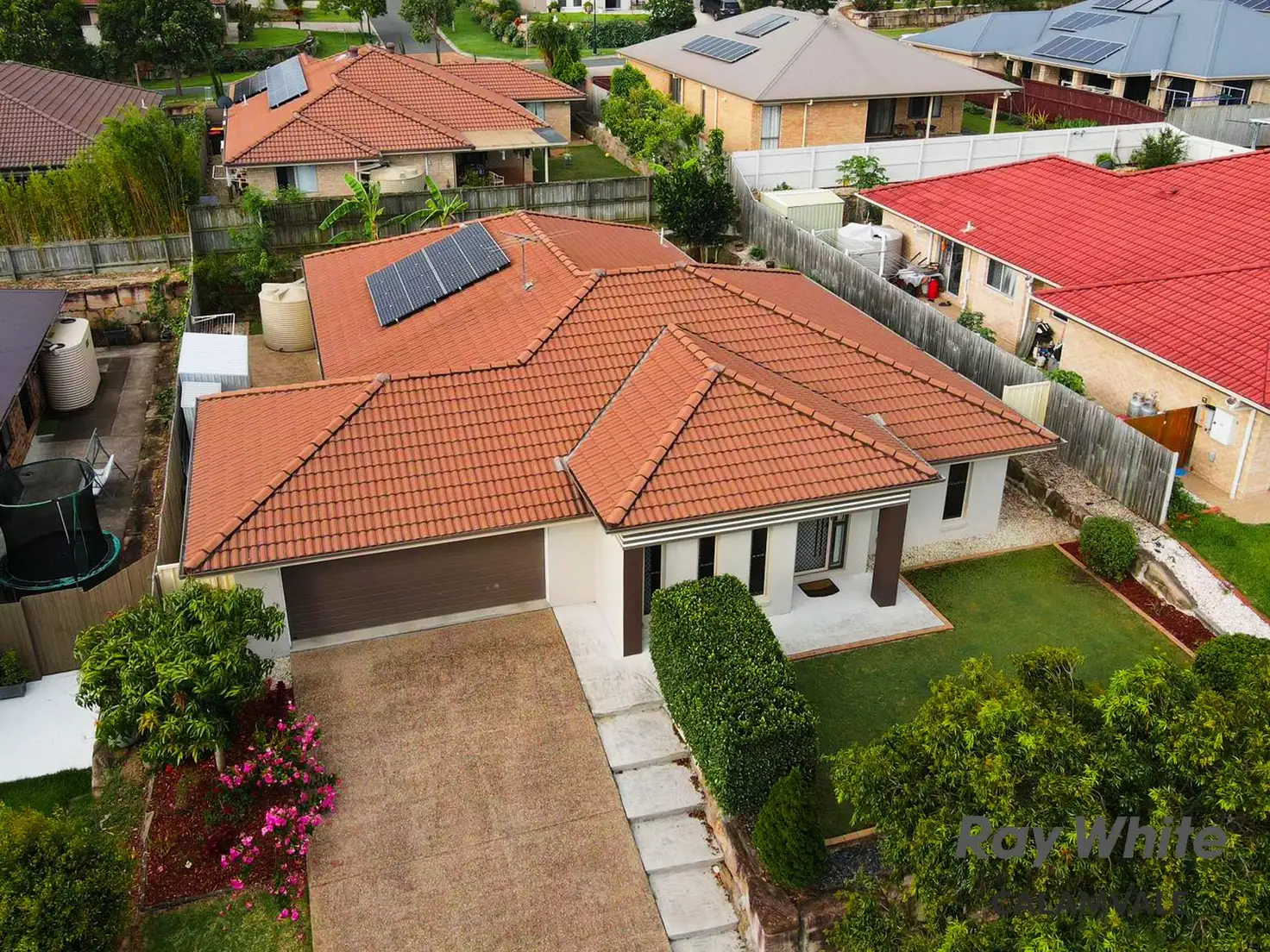 Main view of Homely house listing, 142 Trinity Way, Drewvale QLD 4116