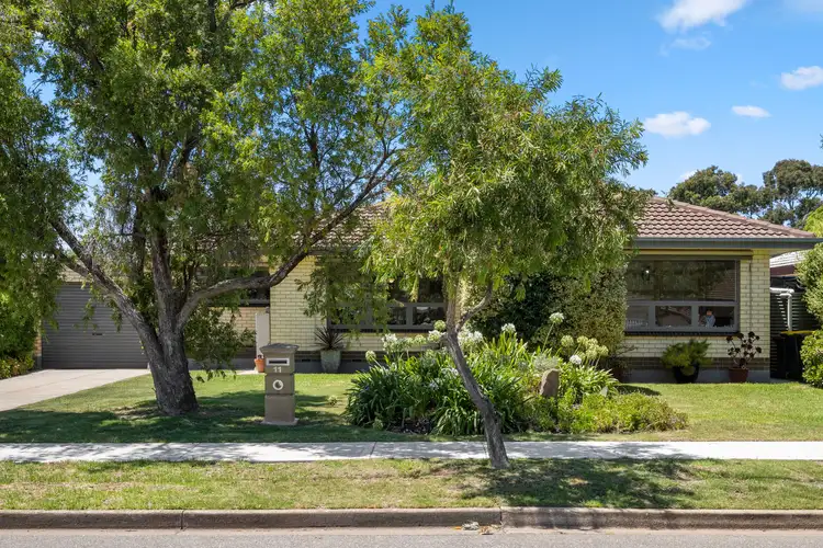 11 Douglas Street, Marion SA 5043