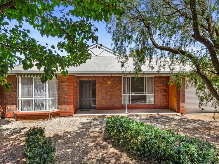 Main view of Homely house listing, 41 Gilbert Street, Lyndoch SA 5351