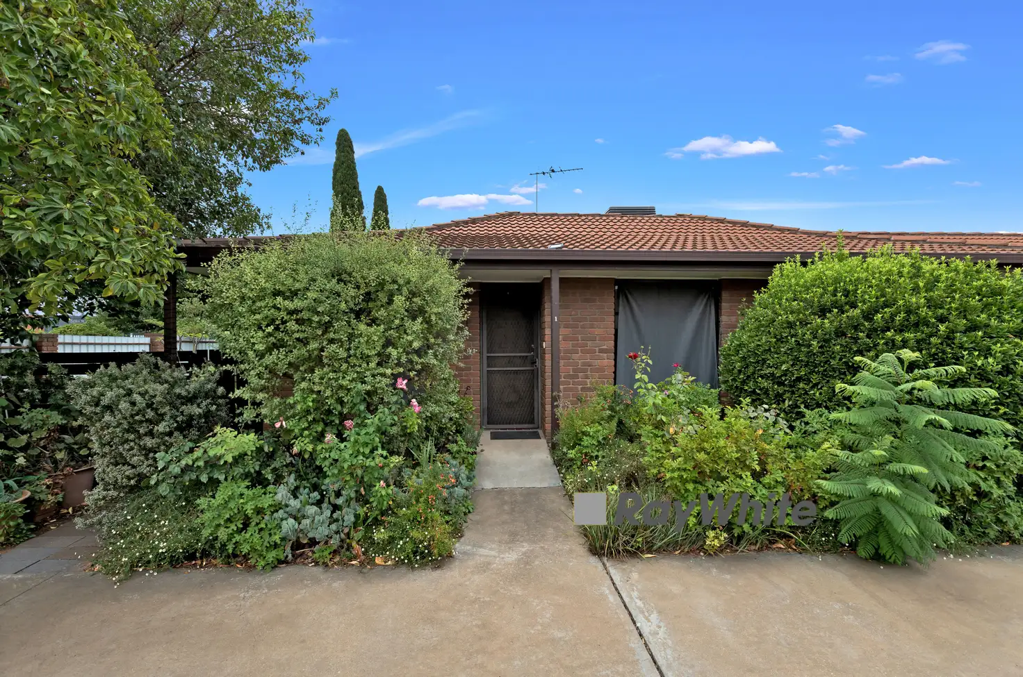 Main view of Homely house listing, 1/182 Walnut Avenue, Mildura VIC 3500