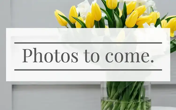 Third view of Homely unit listing, 17/311 Tenth Street, Mildura VIC 3500