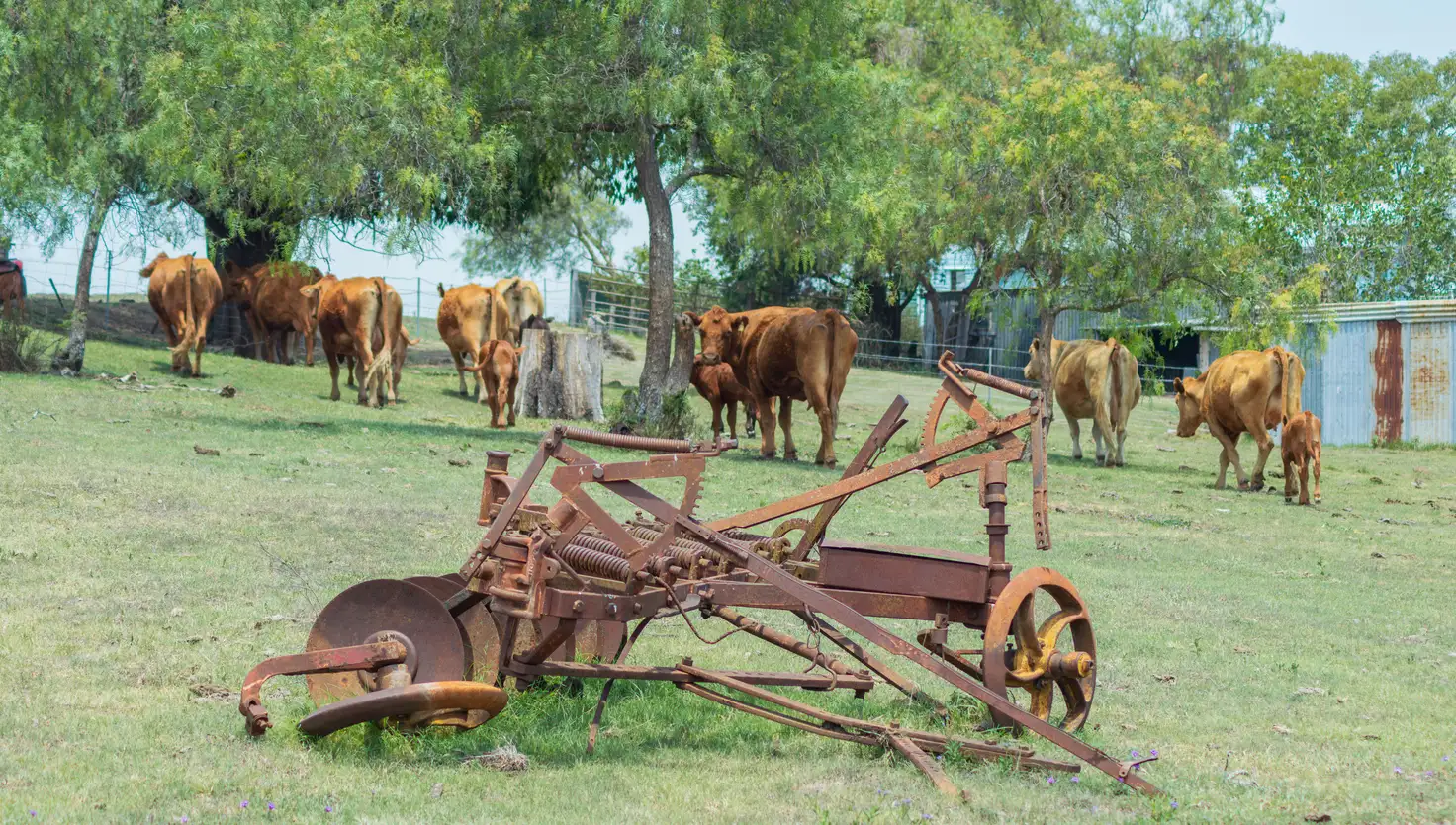 Main view of Homely rural property listing, 246 McMasters Road, Upper Freestone QLD 4370