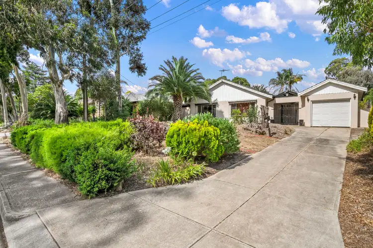 98 Haines Road, Banksia Park SA 5091