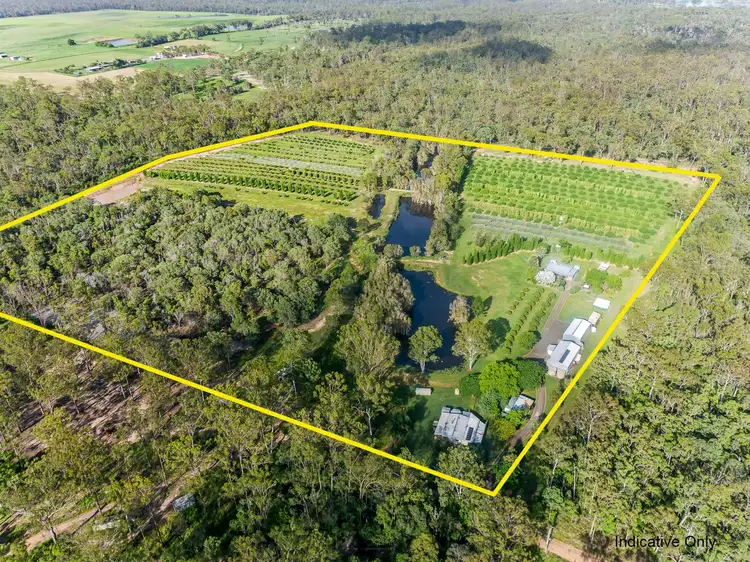 Main view of Homely rural property listing, 707 Birthamba Road, South Kolan QLD 4670