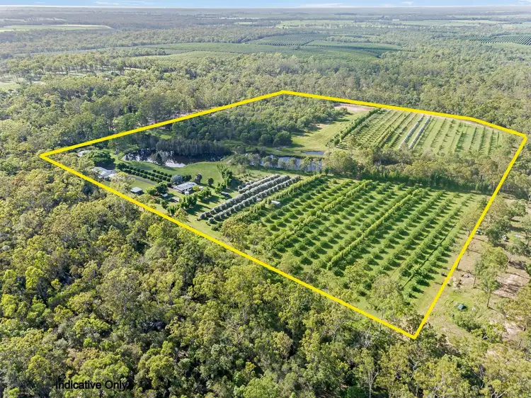 Second view of Homely rural property listing, 707 Birthamba Road, South Kolan QLD 4670