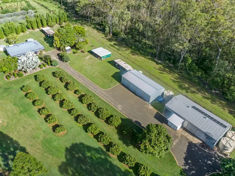 Fourth view of Homely rural property listing, 707 Birthamba Road, South Kolan QLD 4670