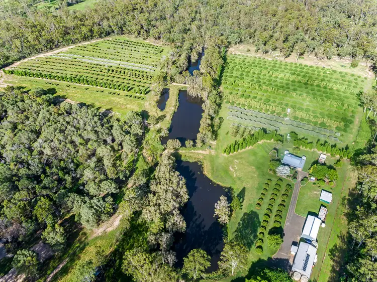 Seventh view of Homely rural property listing, 707 Birthamba Road, South Kolan QLD 4670