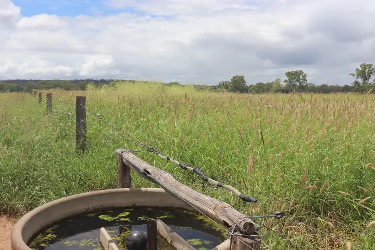 Sixth view of Homely rural property listing, 2097 Coonambula Road, Mundubbera QLD 4626