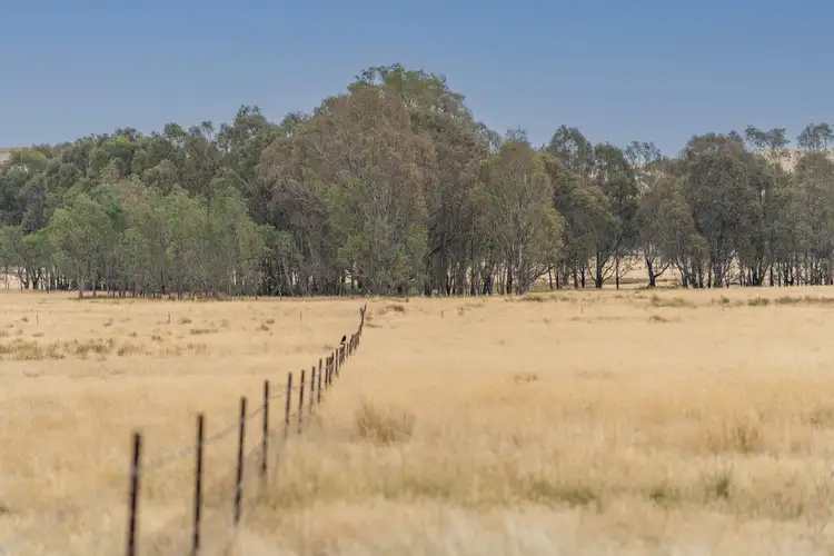 Third view of Homely rural property listing, 785a Highlands Road, Whiteheads Creek VIC 3660