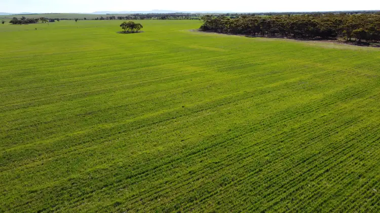 Second view of Homely rural property listing, 'Twigden' McCallum Road, Booleroo Centre SA 5482