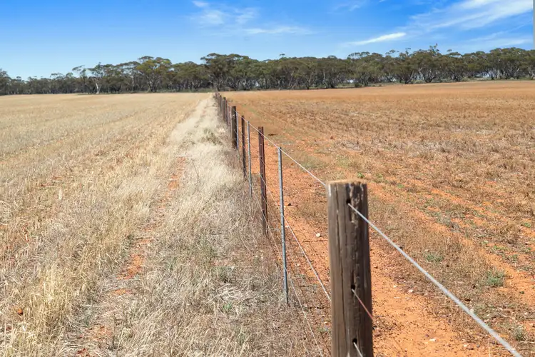 Third view of Homely rural property listing, 'Twigden' McCallum Road, Booleroo Centre SA 5482