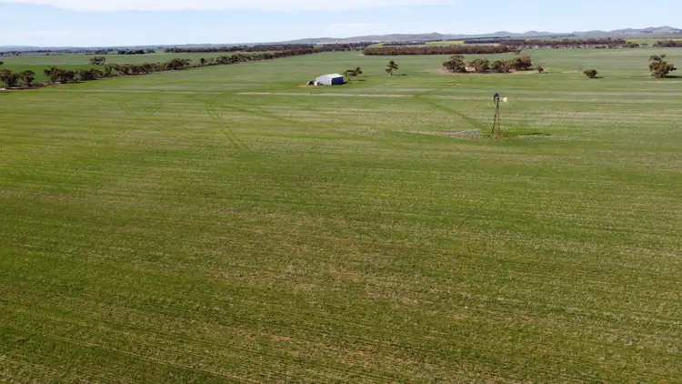 Fourth view of Homely rural property listing, 'Twigden' McCallum Road, Booleroo Centre SA 5482