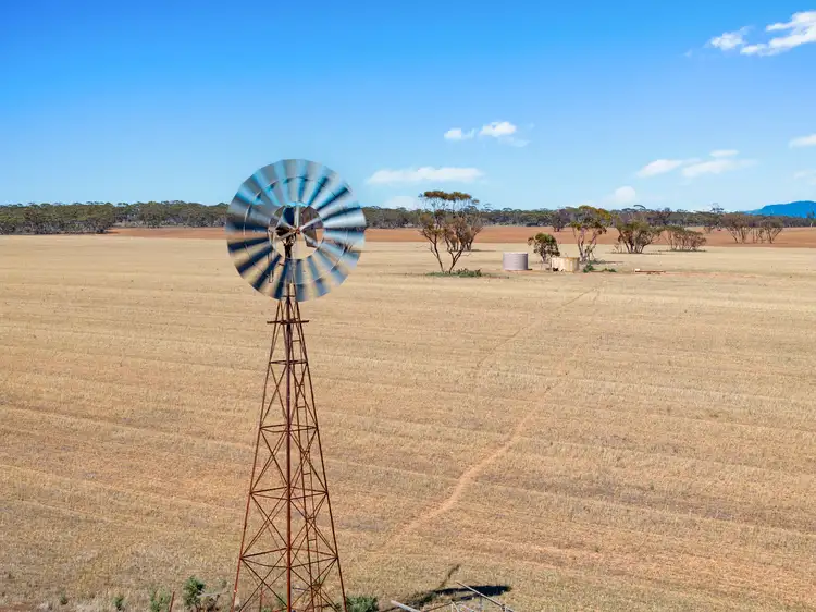Fifth view of Homely rural property listing, 'Twigden' McCallum Road, Booleroo Centre SA 5482