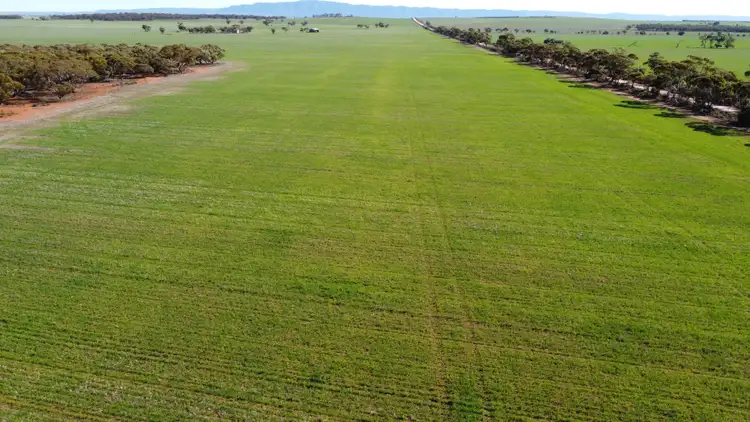 Seventh view of Homely rural property listing, 'Twigden' McCallum Road, Booleroo Centre SA 5482