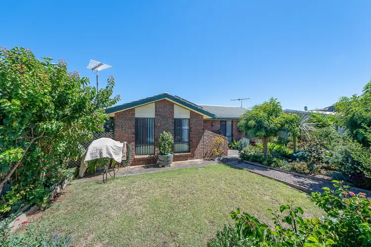 8 Torrens Road, Murray Bridge SA 5253