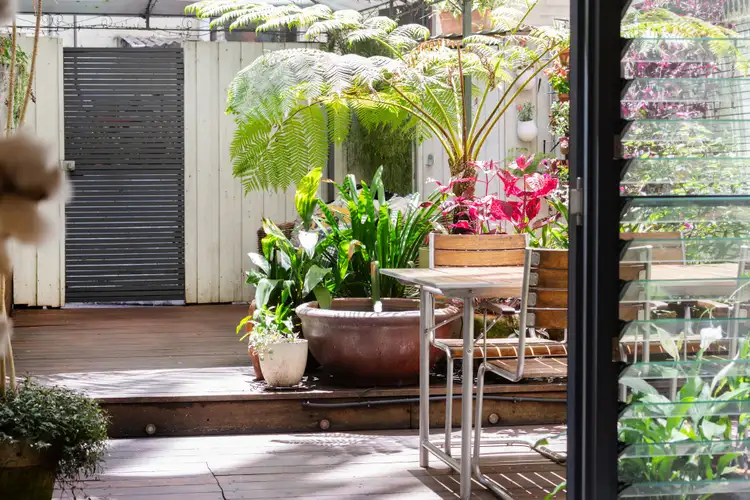 Third view of Homely apartment listing, 3/42a Bayswater Road, Rushcutters Bay NSW 2011