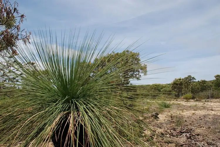 Sixth view of Homely land listing, Lot 105 Jurien Bay Vista, Jurien Bay WA 6516