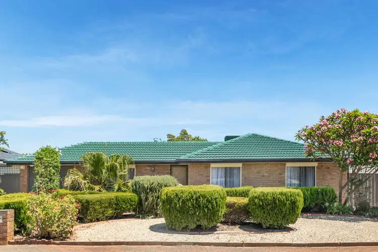 Second view of Homely other listing, 39 Balmoral Circuit, Blakeview SA 5114