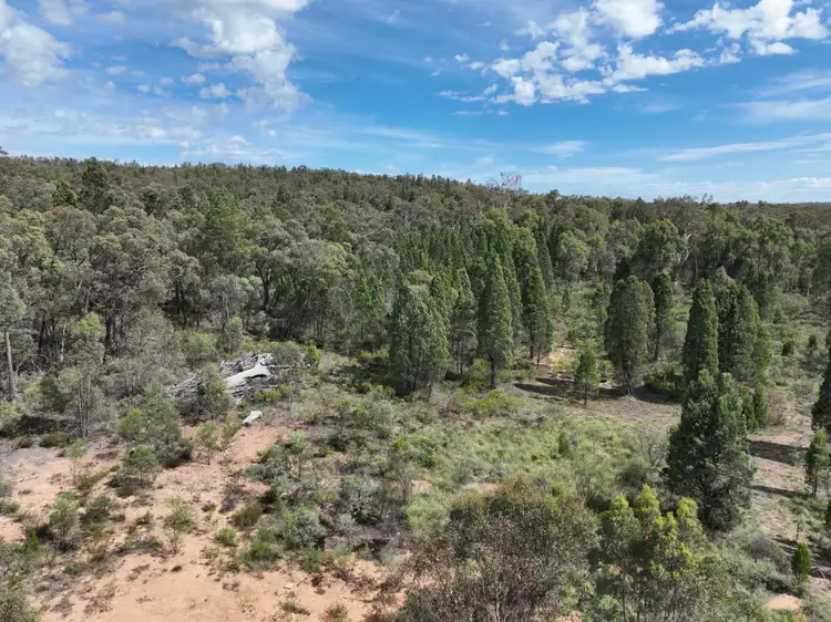 Fifth view of Homely rural property listing, 76 SOUTHERN CROSS Parade, Coonabarabran NSW 2357
