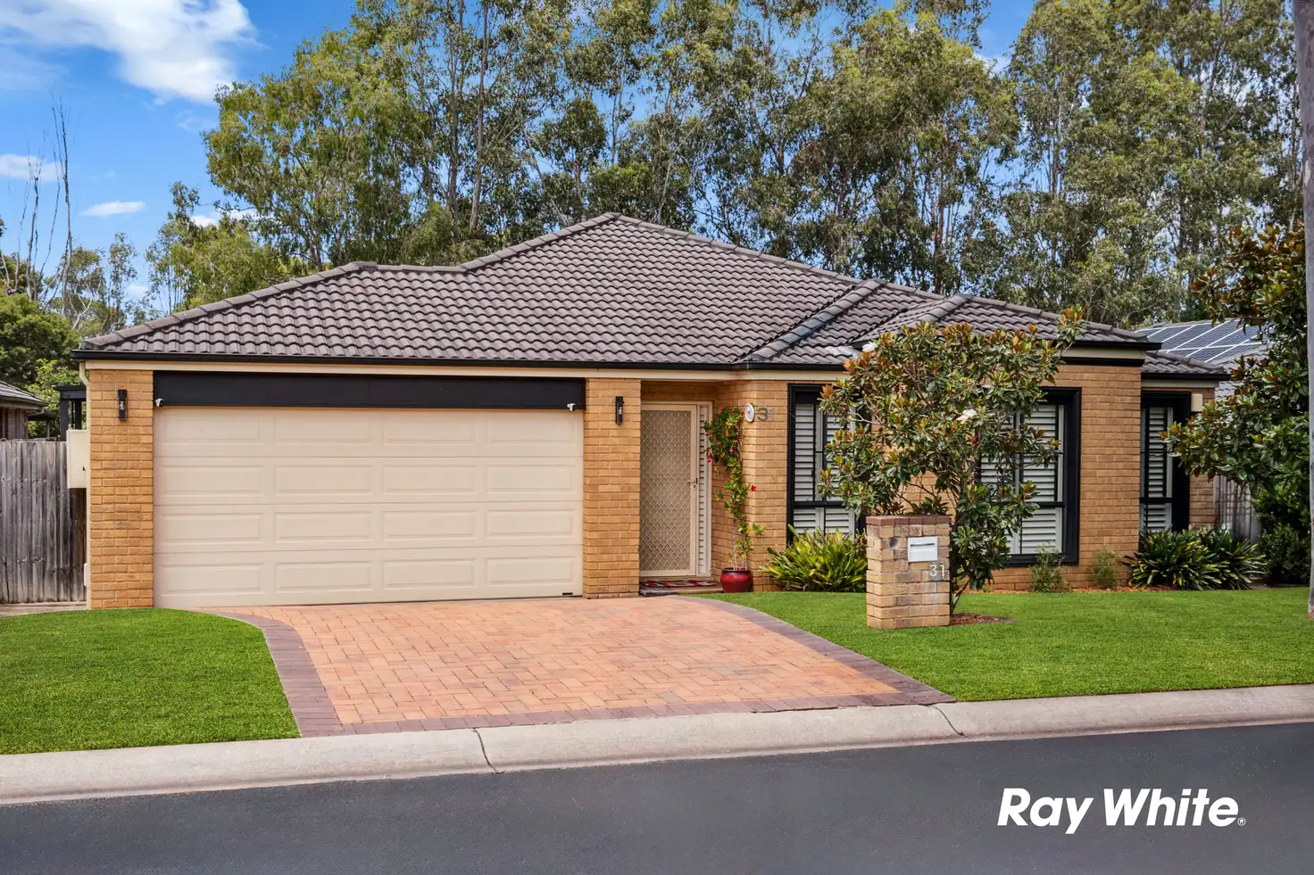 Main view of Homely house listing, 31 Bentwood Terrace, Stanhope Gardens NSW 2768