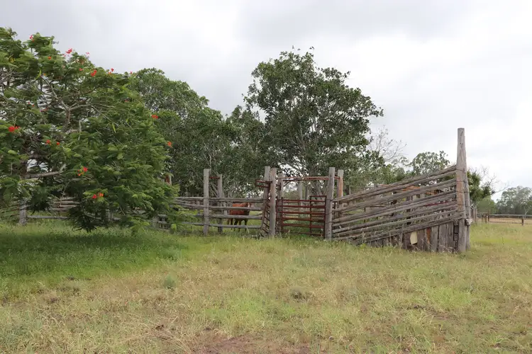 Fourth view of Homely rural property listing, 206 Harding Road, Alton Downs QLD 4702