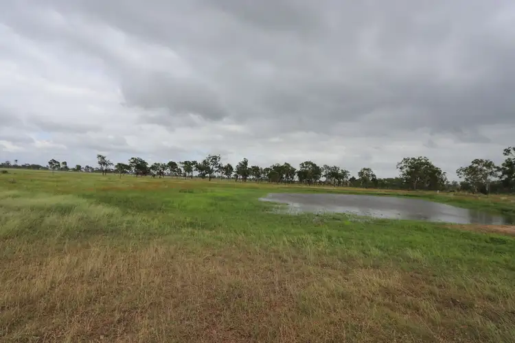 Seventh view of Homely rural property listing, 206 Harding Road, Alton Downs QLD 4702