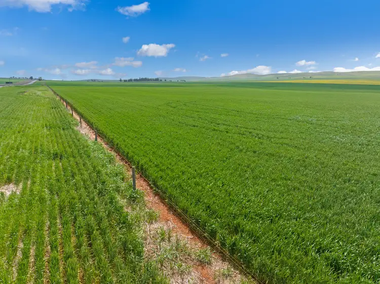 Fourth view of Homely rural property listing, 'Siegerts' R M Williams Way, Spalding SA 5454