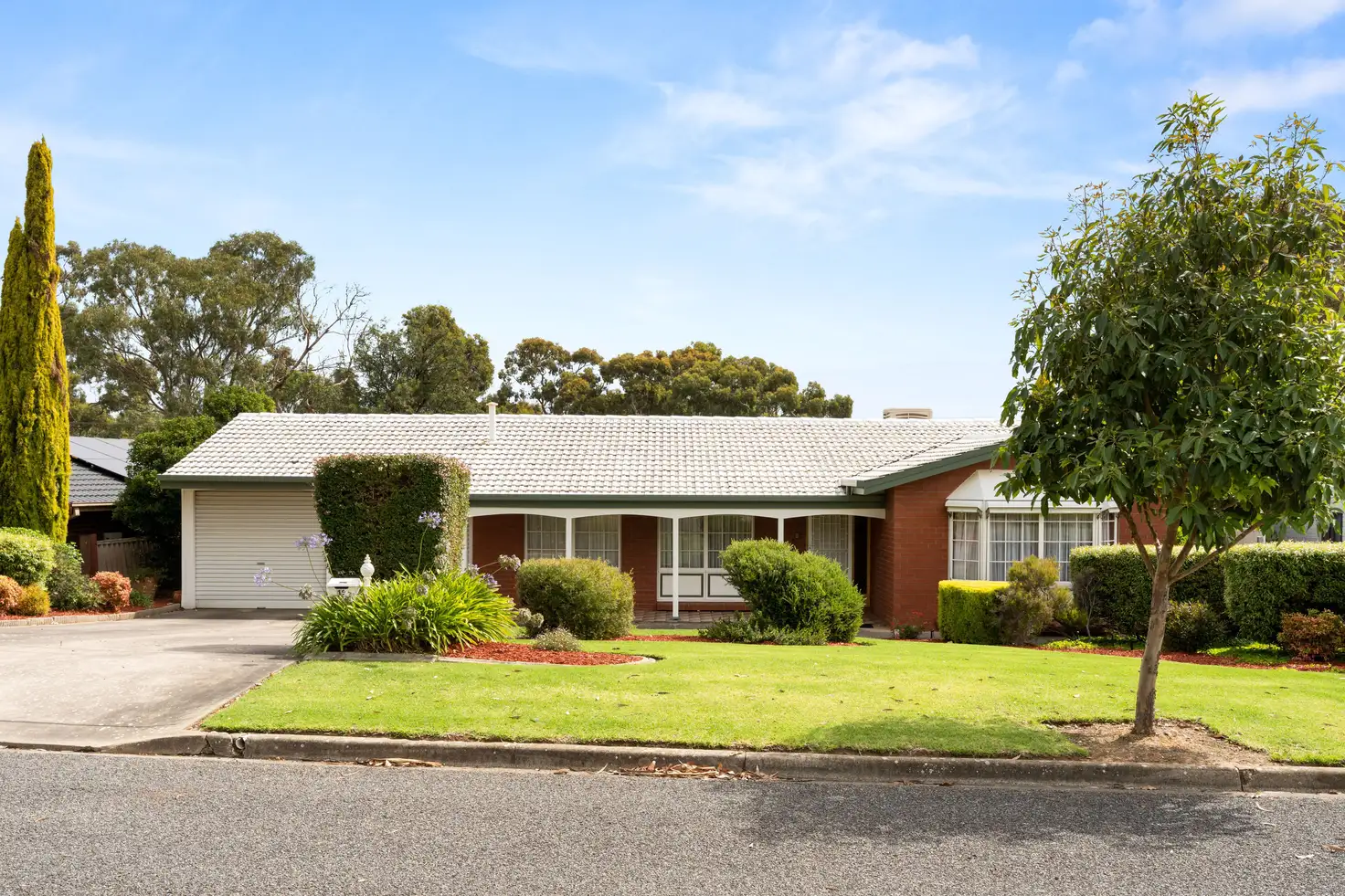 Main view of Homely house listing, 19 Selangor Avenue, Fairview Park SA 5126