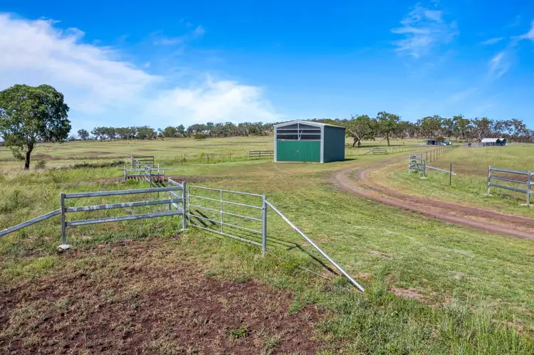 Third view of Homely rural property listing, "1530" 1530 Pittsworth-Felton Road, Felton QLD 4358