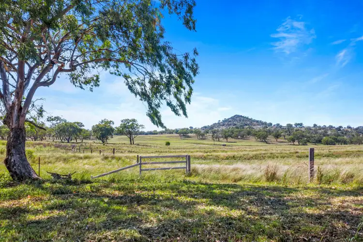Seventh view of Homely rural property listing, "1530" 1530 Pittsworth-Felton Road, Felton QLD 4358