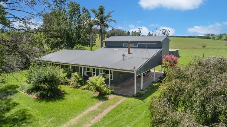 Main view of Homely house listing, 10 Hayden Street, North Dorrigo, Dorrigo NSW 2453