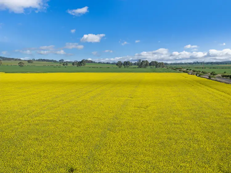 Main view of Homely rural property listing, 'McKeough's' Curio Road, Marrabel SA 5413
