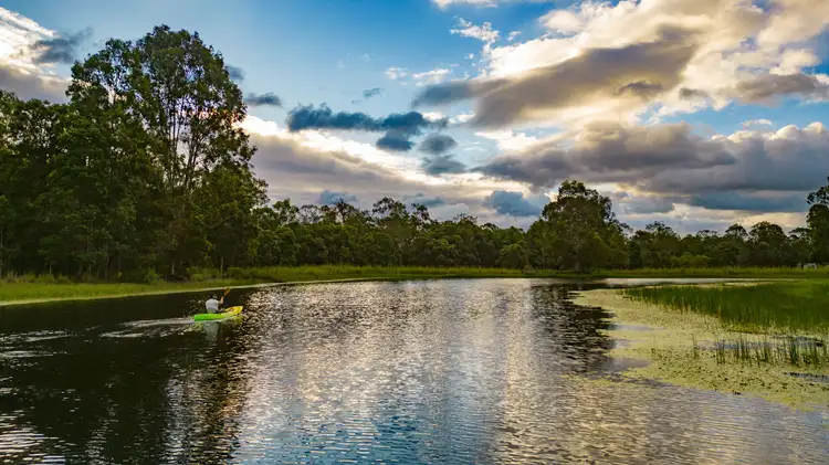 Main view of Homely house listing, 208 Skyring Creek Road, Belli Park QLD 4562