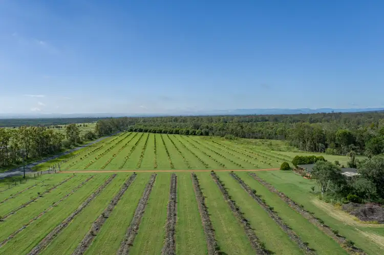 Third view of Homely rural property listing, 1411 Gatton Esk Road, Spring Creek QLD 4343
