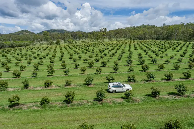Fifth view of Homely rural property listing, 1411 Gatton Esk Road, Spring Creek QLD 4343