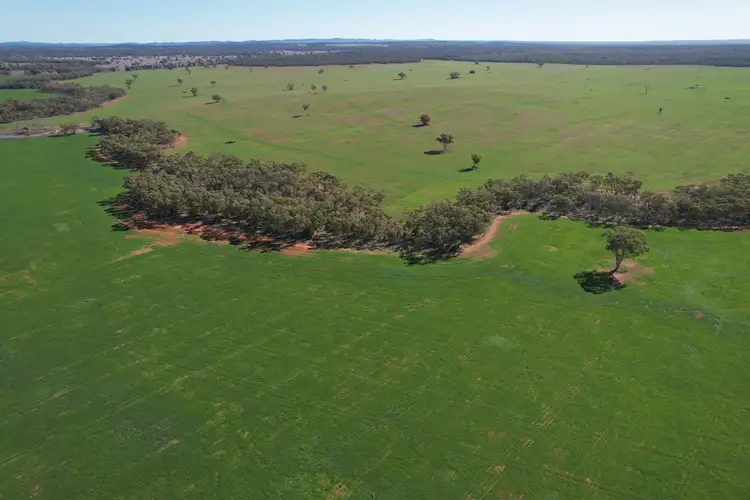 Second view of Homely rural property listing, 787 Babinda Fire Trail, Hermidale NSW 2831