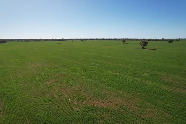 Third view of Homely rural property listing, 787 Babinda Fire Trail, Hermidale NSW 2831