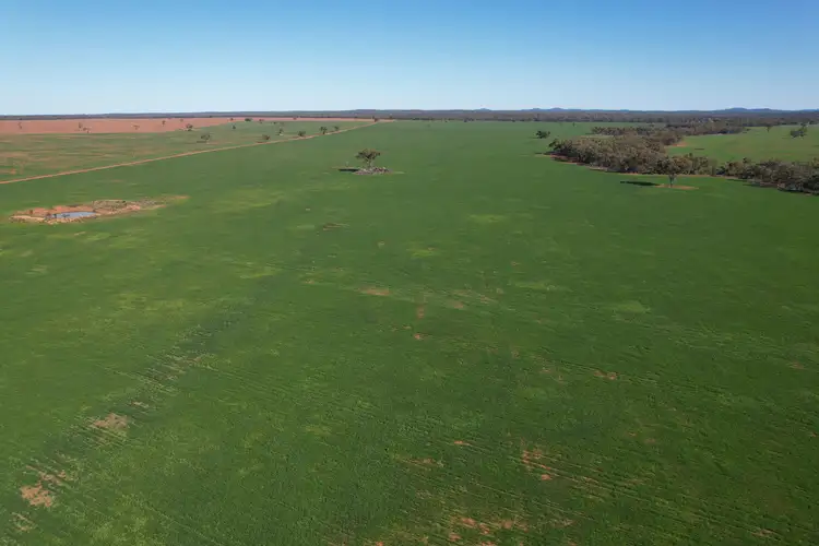 Fourth view of Homely rural property listing, 787 Babinda Fire Trail, Hermidale NSW 2831