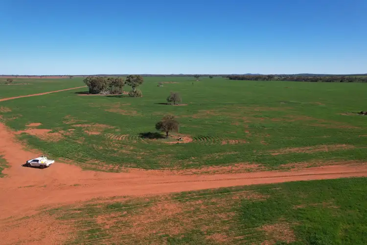 Seventh view of Homely rural property listing, 787 Babinda Fire Trail, Hermidale NSW 2831