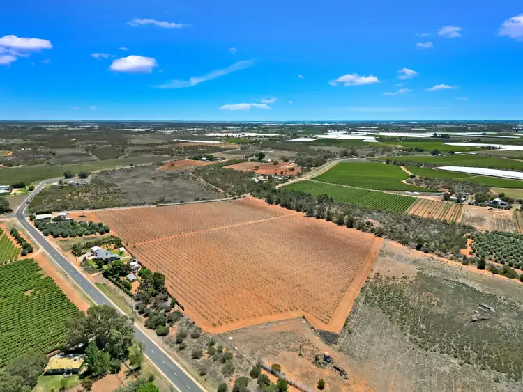 Fourth view of Homely rural property listing, Lot 4 Boomerang Avenue, Irymple VIC 3498