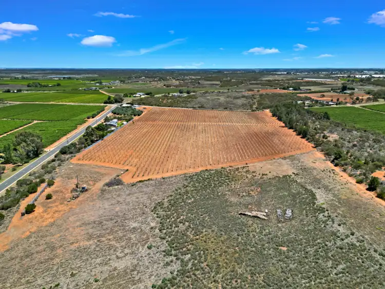 Fifth view of Homely rural property listing, Lot 4 Boomerang Avenue, Irymple VIC 3498