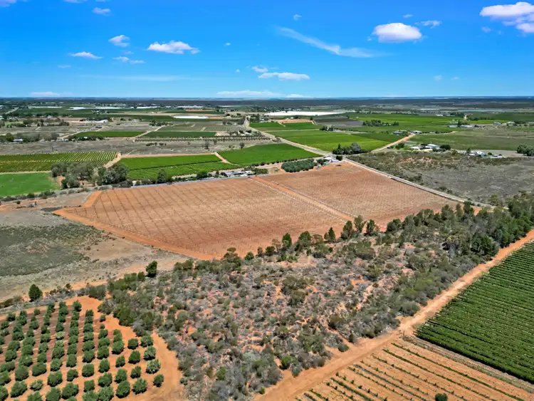 Sixth view of Homely rural property listing, Lot 4 Boomerang Avenue, Irymple VIC 3498