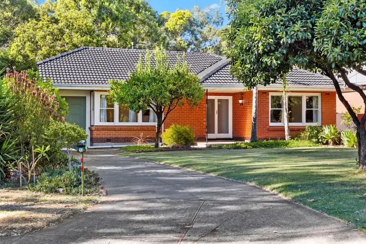 13 Creighton Avenue, Morphett Vale SA 5162