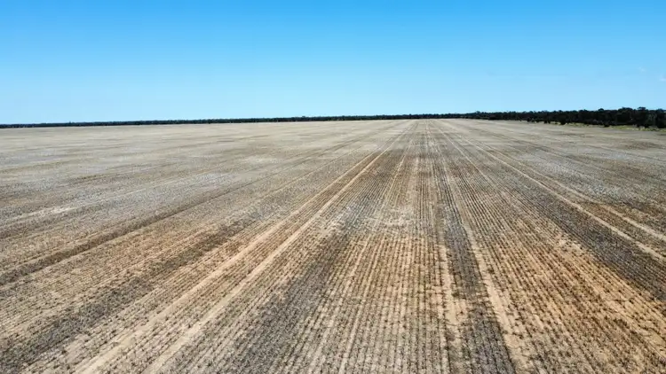 Fifth view of Homely rural property listing, 543 Forest Creek Road, North Star NSW 2408